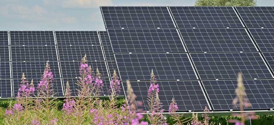 OPERADOR NACIONAL DO SISTEMA ELÉTRICO REGISTRA RECORDES NA GERAÇÃO SOLAR EM FEVEREIRO