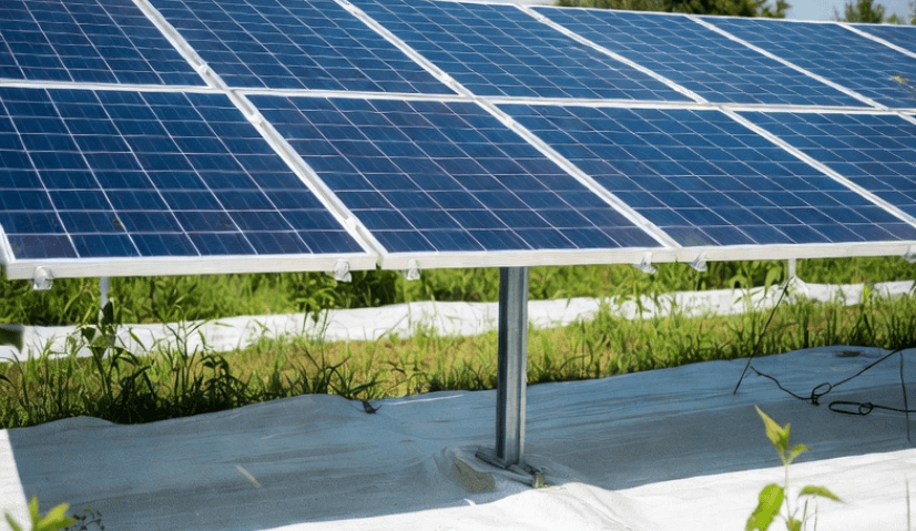 CONTROLE INTELIGENTE DA VEGETAÇÃO EM USINAS SOLARES: A FORÇA DA MANTA BRANCA E SOLUÇÕES SUSTENTÁVEIS