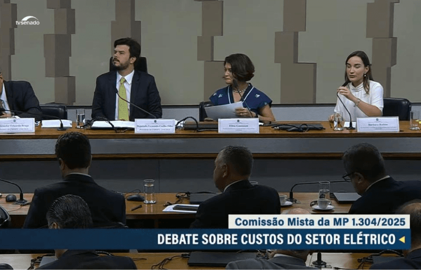 CRISE NO SETOR ELÉTRICO: O EQUILÍBRIO DELICADO ENTRE GIGANTES E CIDADÃOS NA BERLINDA DO SENADO