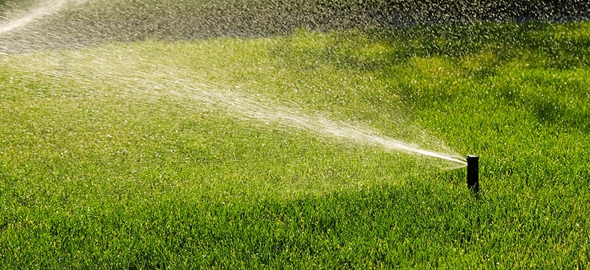Sistema de irrigação funcionando durante o dia