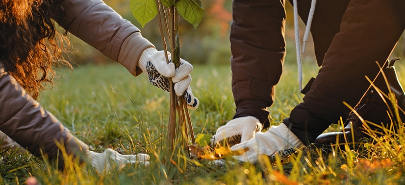 duas pessoas plantando com luvas nas mãos